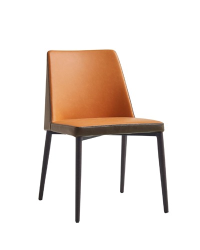 Dining Chair Y20011